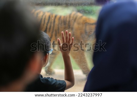Photo of people watching a tiger in a glass enclosure at the zoo.