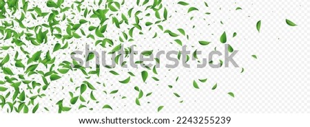 Swamp Foliage Forest Vector Panoramic Transparent Background Illustration. Wind Leaf Banner. Grassy Greens Herbal Poster. Leaves Ecology Wallpaper.