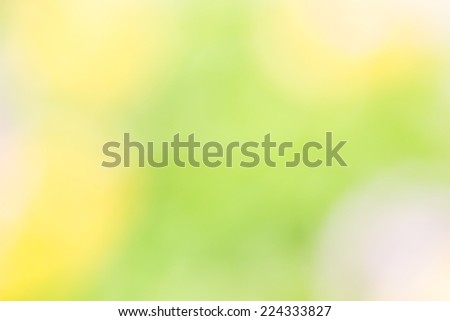 Yellow and green abstract natural background Used for text input