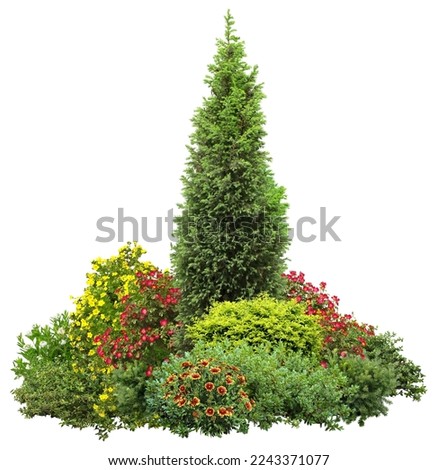 Cutout flowerbed. Plants and flowers isolated on white background. Flower bed for garden design. Luxurious foliage of green bushes and shrubs. Royalty-Free Stock Photo #2243371077