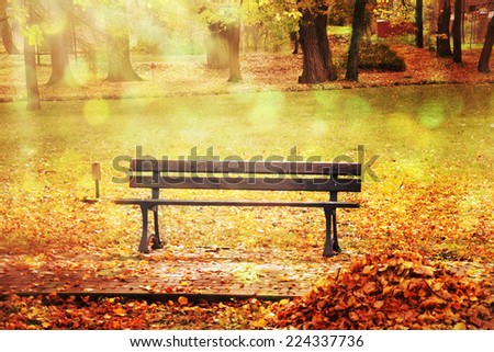 Autumnal Park. 
