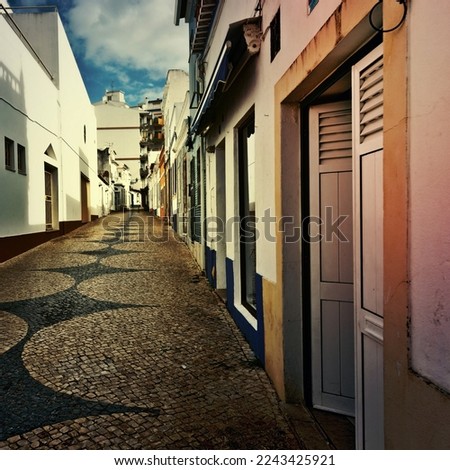 Patterned Pavement in the Medieval Portuguese City of Logos, Vintage Style Toned Picture