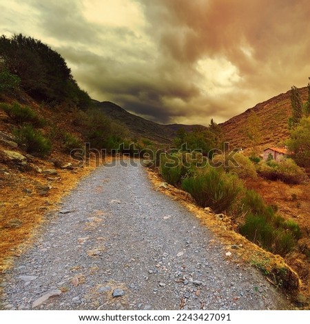 Dirt Road in the Cantabrian Mountains, Spain, Vintage Style Toned Picture