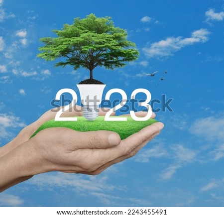 2023 white text with fresh green tree on soil and light bulb on green grass in hands over blue sky, white clouds and birds, Happy new year 2023 green ecology and saving energy concept