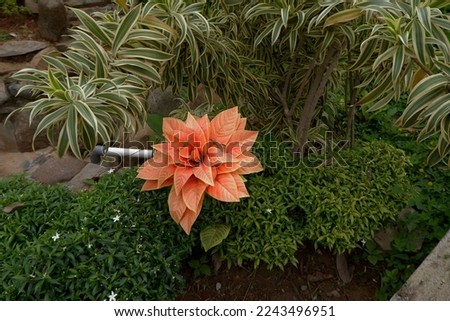 the view of colorful artificial flower at garden