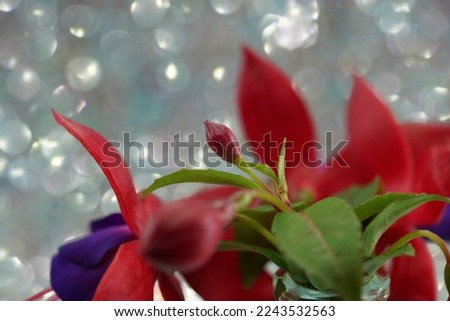 Fuchsia flower in the vase and in the picture frame full of art