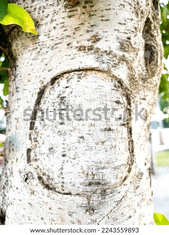 Wood Texture Of Tree Trunk And Leaves With Rectangle Rounded Corners Line Frames Notch. Tracery Wooden Pattern Natural Background