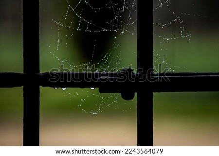 Macro photography of an ancient iron gate, evidence of a cobweb covered with frost, in the background the green of the out-of-focus landscape.