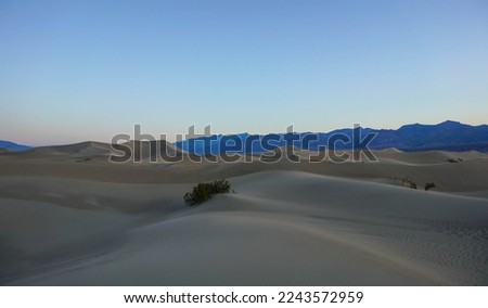 Desert Photography in Southern California