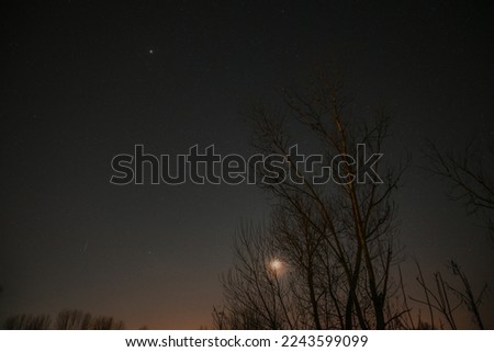 Astrophotography at Greece. Moon is visible behind the tree's. On the top of pictures we can see the Jupiter