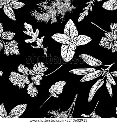 Wild grass seamless pattern. Field herbs and garden medical plants, useful seasonings. Hand-drawn illustration.