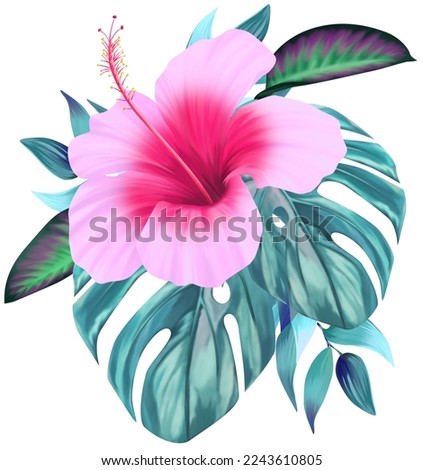 Bouquet of flowers isolated. Tropical orchid flowers, hibiscus, paradise flower, plumeria. Summer bouquet, exotic