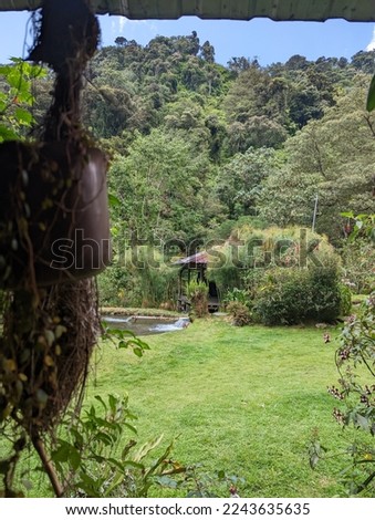 Vertical picture of wonderful natural setting of incredible beauty in the Ecuadorian Andes, full of vegetation and water
