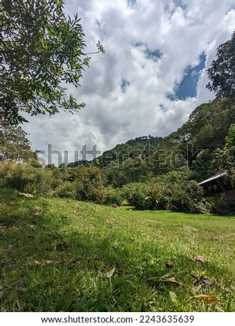 Vertical picture of wonderful natural setting of incredible beauty in the Ecuadorian Andes, full of vegetation and water