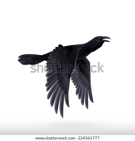 Raster version. Flying black raven. Illustration on white background 
