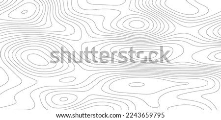 Topographic contour map. Vector cartography illustration. Topography and geography map grid abstract backdrop. Business concept. Fish Fillet Texture, Salmon fillet texture, fish pattern. paper texture