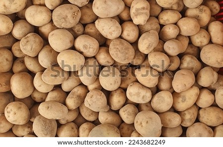 Organic White Baby Potatoes Picture