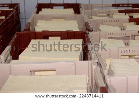 Fresh cheese stored in boxes when ripening
