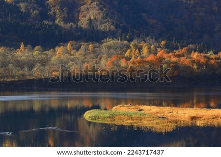 Oshu City, Iwate Prefecture Lake Oshu with autumn leaves Royalty-Free Stock Photo #2243717437