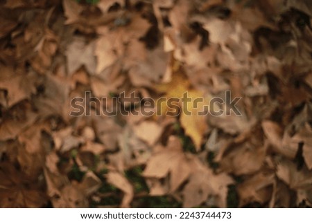 blured bokeh nature backround with autumn season colors brawn