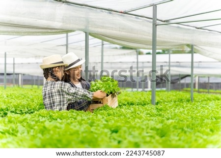 male and female couple Asian family picking vegetables Happy inspecting your own hydroponic vegetable garden.