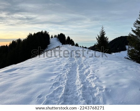Wonderful winter hiking trails and traces in fresh alpine snow on the slopes of the Alpstein mountain range, Urnäsch (Urnaesch or Urnasch) - Canton of Appenzell Innerrhoden, Switzerland (Schweiz)