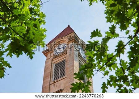 Detail of limestone clock tower surrounded by green leaves