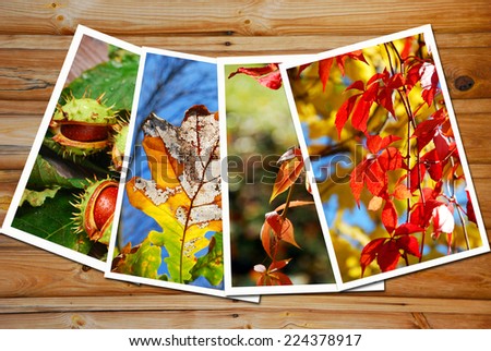 beautiful autumn images collection on wooden background