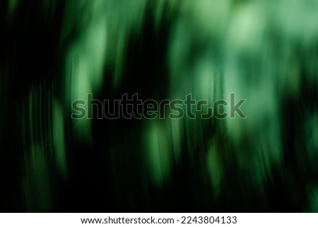 Mystical terrible blurred forest vintage dark photo
