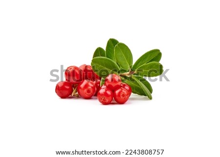 Lingonberry with leaves, isolated on white background Royalty-Free Stock Photo #2243808757