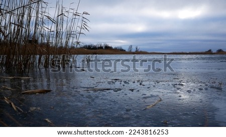 The lake is in late autumn. Early frosts. The water near the shore turned into ice. Dry reeds sway on the sides. Above is an overcast gloomy sky. Scene of early winter by the lake, wildlife Royalty-Free Stock Photo #2243816253