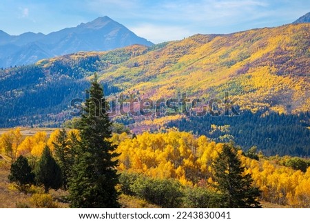 Fall colors in the Utah mountains