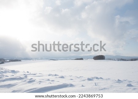 white city and snow forest wood in asia japan sapporo biei travel trip background fog cloud sky sun sign way