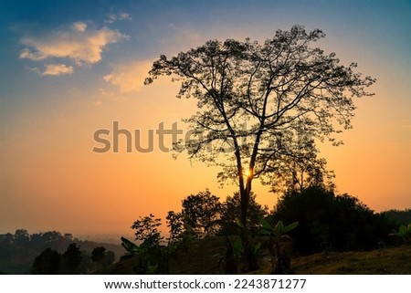 Beautiful scenery of morning sun light, Panoramic misty scenery of sun rise and the fog floating over the hill at Chiang Rai, Thailand