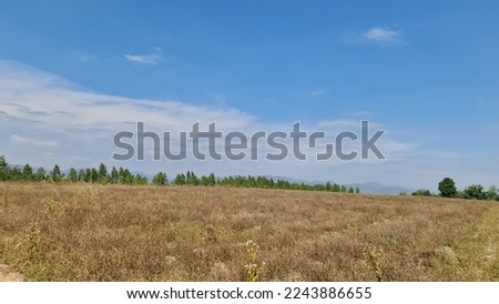 Brown dry grass field under wide sky with light white clouds.  Royalty-Free Stock Photo #2243886655