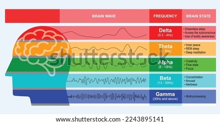 Brain wave function EEG chart, Different kinds of waveforms produced by brain activity Digital illustration.