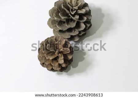 Photo of white table decorated with magnificent brown pine cones white background and wall. Photograph of several pinecones, polished, painted, used for decor.
