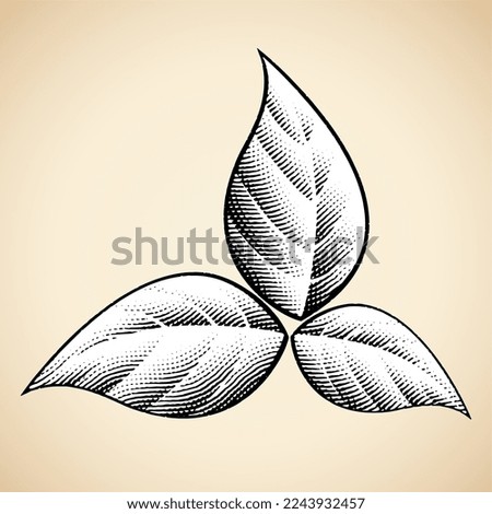 Illustration of Scratchboard Engraved Leaves isolated on a Beige Background