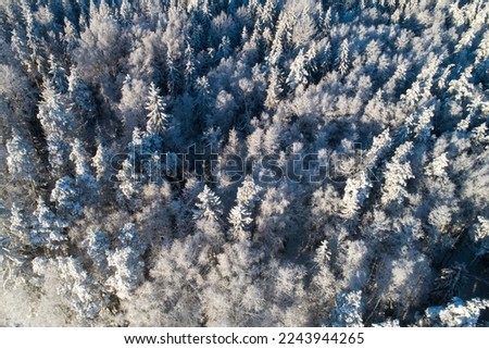 An aerial of a frosty and snowy mixed boreal forest on a sunny winter day in Estonia, Northern Europe Royalty-Free Stock Photo #2243944265