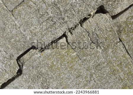 Big crack on gray wall with moss, abstract image of diagonal cleft, background texture. Close-up. Copy space. Selective focus.