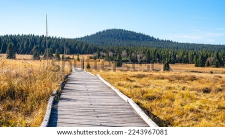 Wooden path in Bozi Dar peat bog nature reservation on sunny autumn day. Ore Mountains, Czech: Krusne hory, Czech Republic Royalty-Free Stock Photo #2243967081