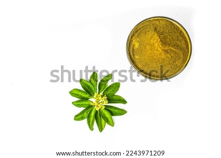  Lcawsonia inermis or Henna leaves with powder isolated on white background