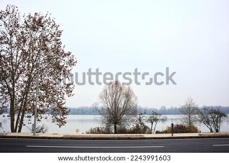 Road  next to a bare grove by the riverside in winter