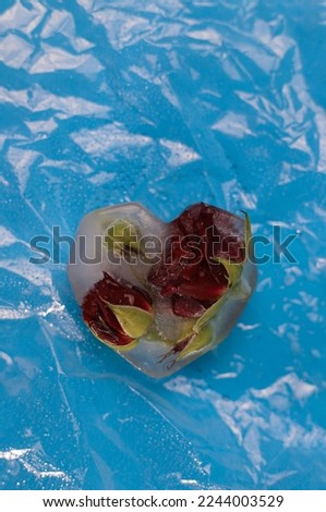 heart shaped ice with red fragrant roses frozen in ice on a blue shiny background with water drops. for postcards screensavers labels banners leaflets business cards