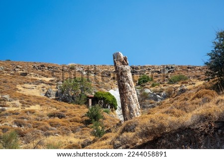 A fossilized tree trunk from the UNESCO Geopark "Petrified Forest of Sigri" on the island of Lesvos in Greece. Greece Lesbos fossil forest Royalty-Free Stock Photo #2244058891