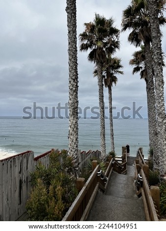Southern California beach stairs and palms