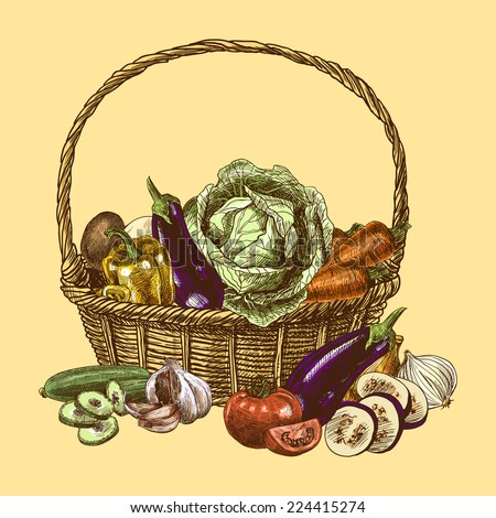 Vegetables in basket natural organic fresh food color sketch decorative set vector illustration