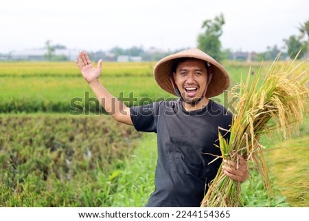 Happy young asian farmer harvesting rice in paddy field. Happy with a good harvest concept by holding a bunch of rice and presenting his paddy field