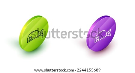 Isometric line Pirate bandana for head icon isolated on white background. Green and purple circle buttons. Vector