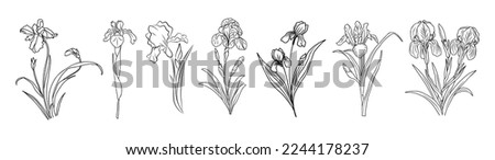 February Birth month flower Iris set. Botanical Line art vector illustration. Hand drawn monochrome black ink Sketch. Modern floral minimalist design for wall art, card, tattoo, logo Royalty-Free Stock Photo #2244178237